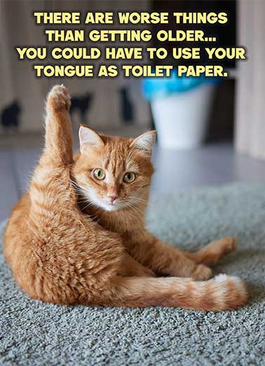 Cat Tongue Paper Funny Birthday     No butts about it, happy birthday